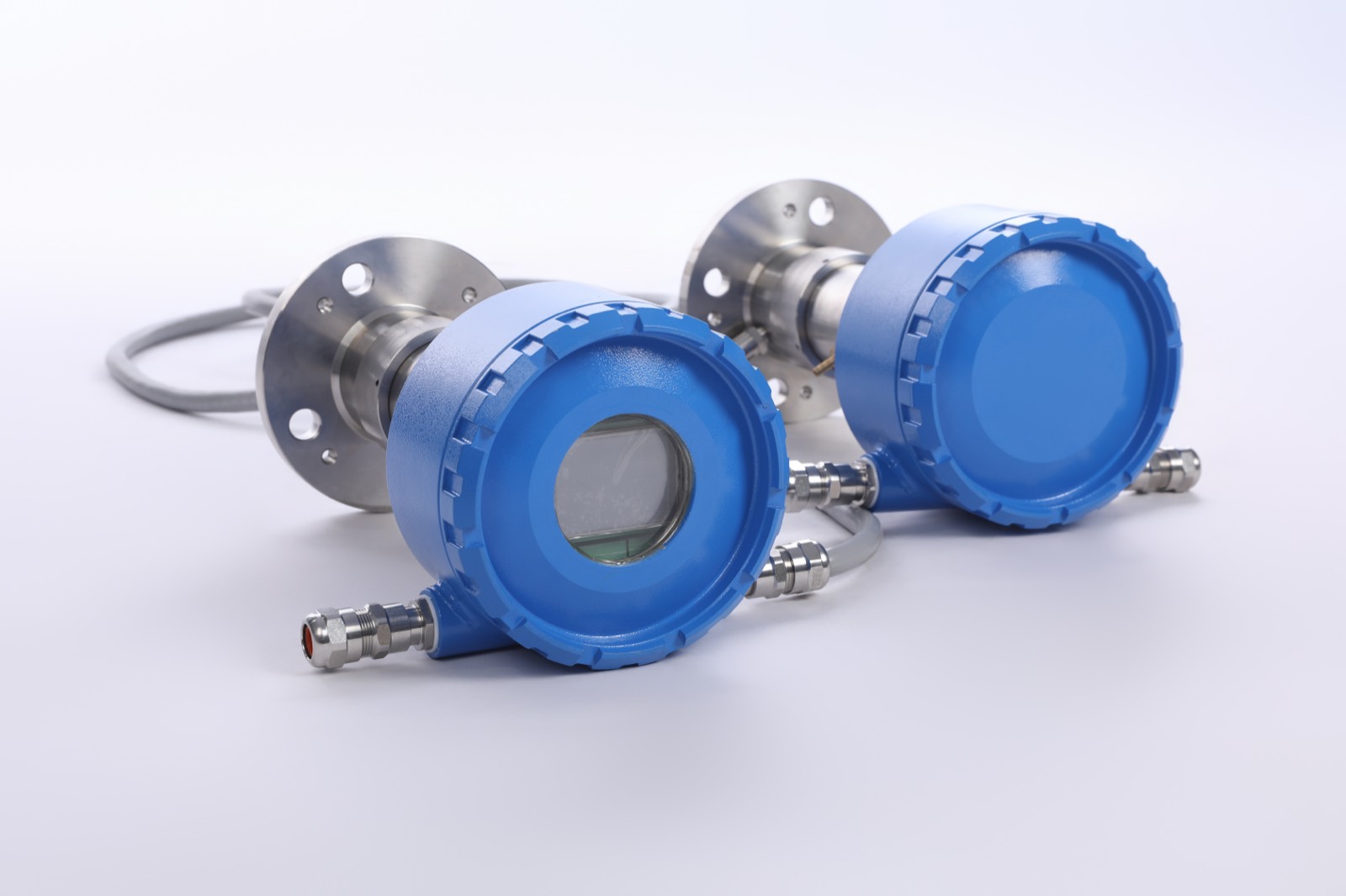 ZS8300-H2S — In-Situ Explosion-Proof TDLAS H₂S Analyzer